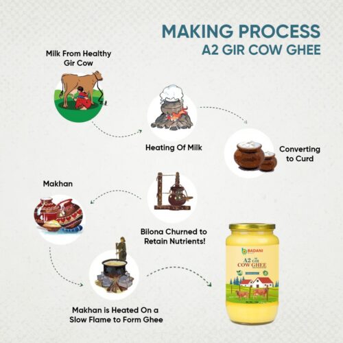 Badani Mart A2 Gir Cow Ghee – Pure Desi Cow Ghee Online at Best Price - Image 4